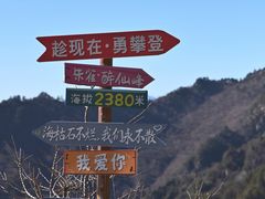 -朱雀国家森林公园