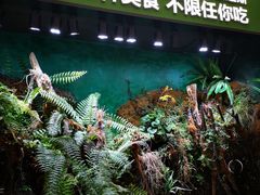 -亚马逊海鲜自助(万象汇店)