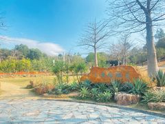 -东莞植物园