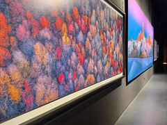 -罗红摄影艺术馆