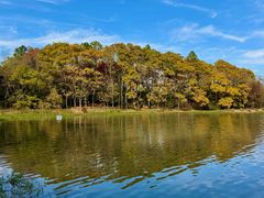 -上海海湾国家森林公园