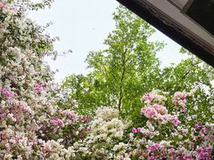 -深圳国际园林花卉博览园