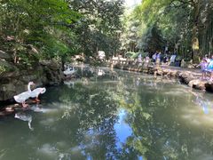-兰亭风景区