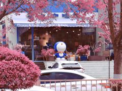 -花与咖啡馆(金星楼店)