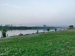 -灞河西岸滨河公园