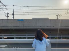 -海堤纪念公园