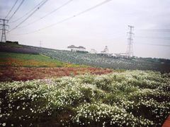 紫颐·香薰山谷-紫颐香薰山谷景区