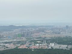 -紫金山山顶公园