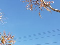 -北京凤凰岭