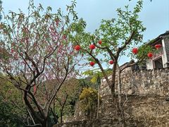-飞霞风景名胜区