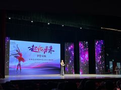 -中央芭蕾舞团·中芭艺蕾(酒仙桥明星校区)