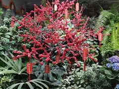 -颐而康·按摩·艾灸·足疗(汽车东站店)