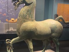 -广西壮族自治区博物馆