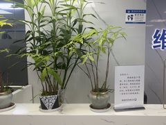-联想笔记本电脑售后维修中心(东方路店)