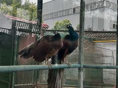 -瑞博尔花园酒店(太周创新产业园店)