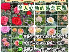 -人民公园(罗湖区)