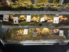 -滇野云南野生菌餐厅(陕西南路店)