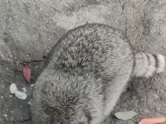 -杭州野生动物世界