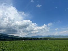 -新疆那拉提国家旅游度假区