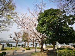 -台场海滨公园船码头