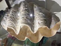 贝壳博物馆-青岛贝壳博物馆