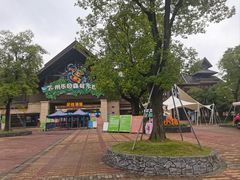-苏州乐园森林水世界