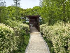 -同里国家湿地公园