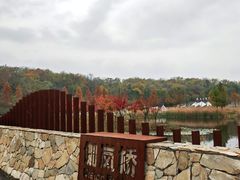 -佛手湖郊野公园