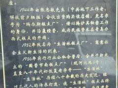 -生活林(河北路店)