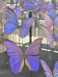 -酷嗒动物文化乐园(cutezoo西溪乐天城店)