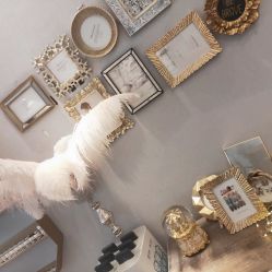 -雪儿·YuKi美甲美睫皮肤管理Salon