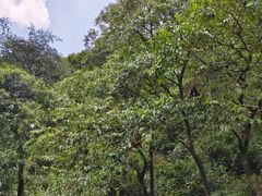 -黔灵山公园