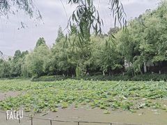 -月牙潭公园