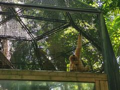 -海南热带野生动植物园