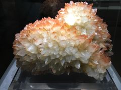 -湖南省地质博物馆