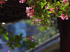 -龙潭水乡