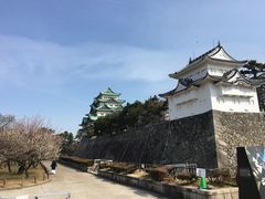 -名古屋城