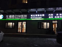 -宠福鑫动物医院(城北分院)