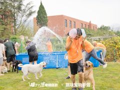 -趣玩宠物乐园寄养训犬训狗游泳池