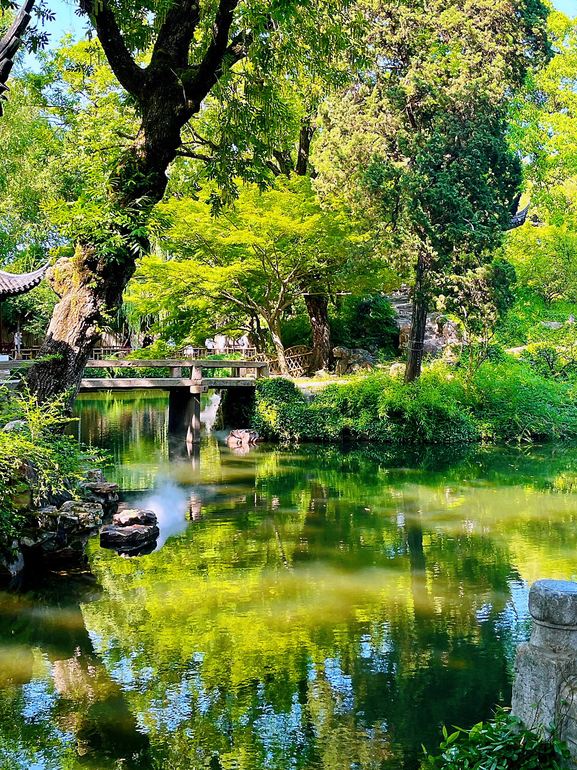 苏州拙政园|半部江南诗意所在❗️