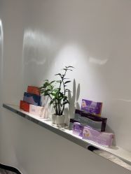 -AiCure 埃可儿·韩国医学皮肤管理