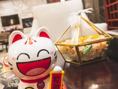 -郑州新郑国际机场T2航站楼-贵宾厅B区