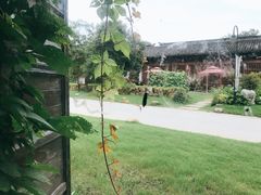 -田园东方蜜桃村的田野营地