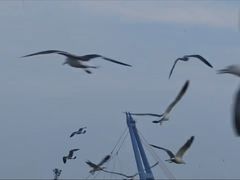 -星海广场