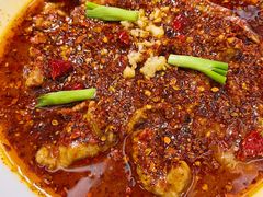 水煮鲜黄牛肉-榕意·川味之美(深业上城店)