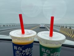 -南澳岛打卡果汁冰公司
