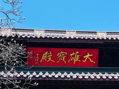 -灵谷景区