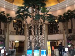 -圣爵菲斯大酒店(长沙世界之窗店)