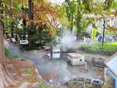 -中山公园