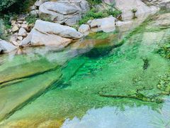 -无染寺